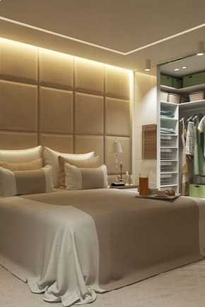Petit dressing