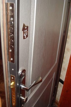 Portes Standard : avantages et inconvénients