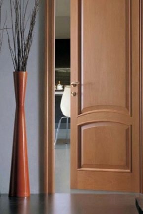 Portes en MDF : avantages et inconvénients