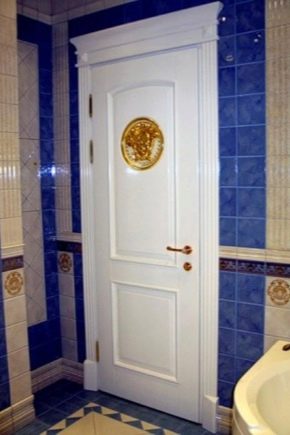 Choisir les portes des toilettes et de la salle de bain