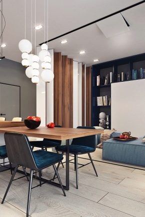 Projekt mieszkania jednopokojowego o powierzchni 42 m2 m