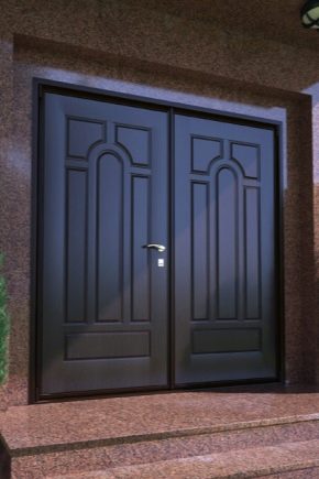Portes d'entrée en métal à deux vantaux