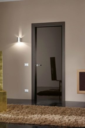 Portes intérieures brillantes