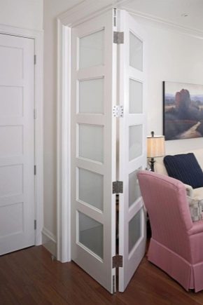 Portes intérieures pliantes - une solution compacte à l'intérieur