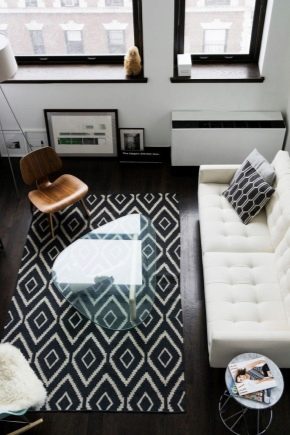 Style minimaliste à l'intérieur de l'appartement: sophistication et ascétisme