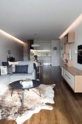 Options et caractéristiques de réaménagement d'un appartement d'une pièce