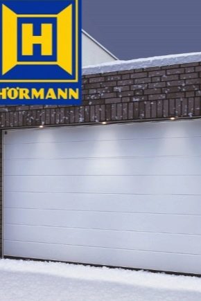 Bramy segmentowe Hormann: zalety i wady