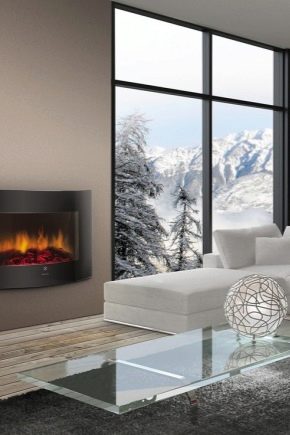 Kominki Electrolux: przegląd produktów popularnej marki