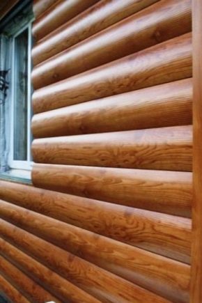 Siding pod dziennikiem: funkcje aplikacji