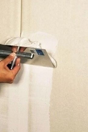 Poszukiwacze szpachli: rodzaje i ich charakterystyka