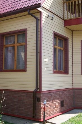 Siding piwniczny pod kamieniem: cechy do wyboru