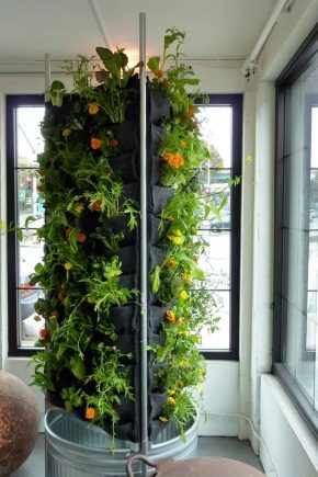 Jardin d'hiver dans l'appartement: conditions et caractéristiques de l'arrangement