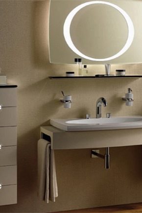 Accessoires de salle de bain : variété et caractéristiques de choix