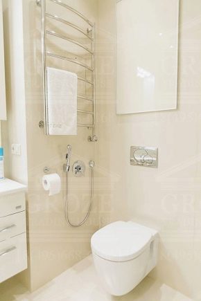 Funkcje prysznicowe Hansgrohe