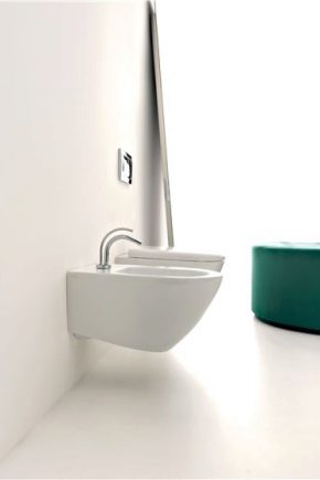 Bidet wiszący: funkcje i różnorodność wyborów