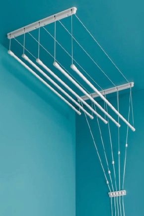 Sèche-linge Liana: caractéristiques et instructions d'installation