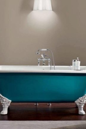 Quelle baignoire en fonte est préférable de choisir: un aperçu des modèles populaires