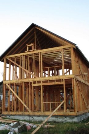 Cechy procesu projektowania wiejskich domów szkieletowych