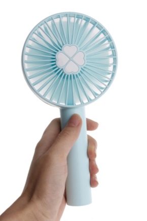 Mini fan: odmiany i subtelności do wyboru