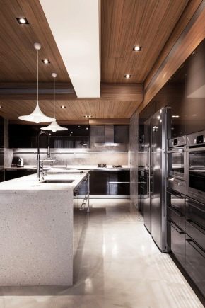 Conception de plafond dans la cuisine-salon