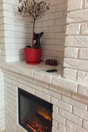 Brique de gypse: caractéristiques et application à l'intérieur