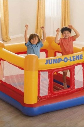 Charakterystyka i cechy trampolin Intex