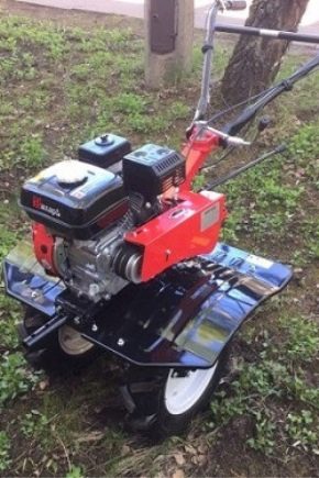 Motobloki Jenisej: opis, modele i wskazówki dotyczące użytkowania