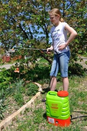 Cechy wyboru opryskiwaczy akumulatorowych Clever
