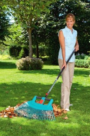 Rake: czym są i jak wybrać najlepszy model?