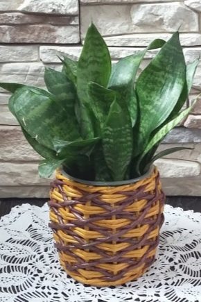 Comment faire un pot de fleurs à partir de tubes de papier journal de vos propres mains?