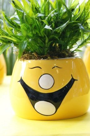 Ceramiczna donica do kwiatów: cechy, rodzaje i design