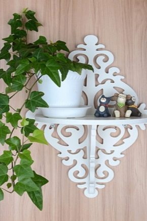 Supports muraux pour fleurs: caractéristiques et types