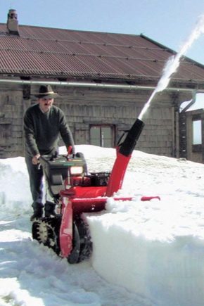 Examen des souffleuses à neige automotrices à essence pour chalets d'été