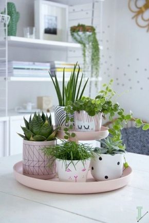 Caractéristiques et options de conception pour les pots de fleurs décoratifs