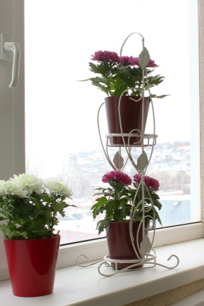 Supports pour fleurs sur le rebord de la fenêtre: caractéristiques et types