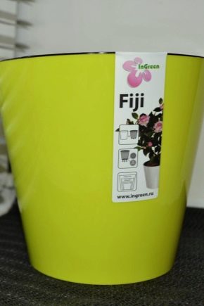 Wskazówki dotyczące wyboru doniczki InGreen Fiji