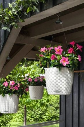 Choisir une jardinière en plastique pour les fleurs