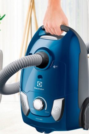 Odkurzacze Electrolux: rodzaje i akcesoria do nich
