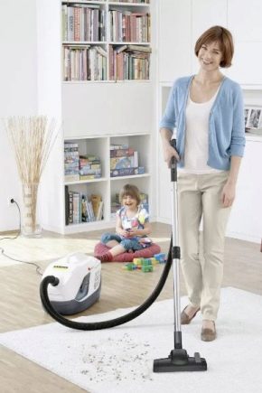 Aspirateurs Karcher: description et les meilleurs modèles