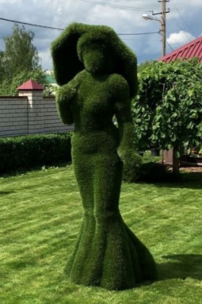 Topiary ze sztucznej trawy: odmiany, zalecenia dotyczące tworzenia