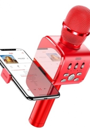 Mikrofony Bluetooth do telefonu: funkcje, przegląd modeli, kryteria wyboru