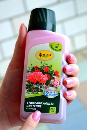 Wszystko o nawozie Fasco