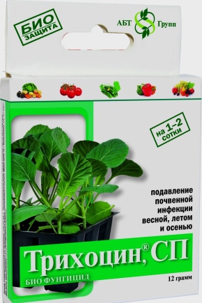 Co to jest Trichocin i jak go stosować?