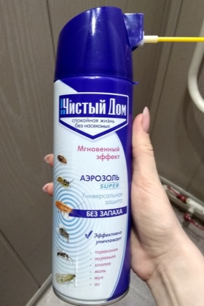 Wykorzystanie funduszy Clean House z karaluchów