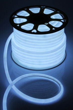Caractéristiques du néon LED flexible