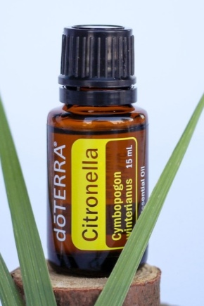 L'utilisation de la citronnelle contre les moustiques