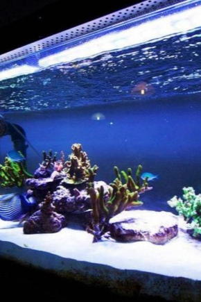 Bandes LED pour aquarium