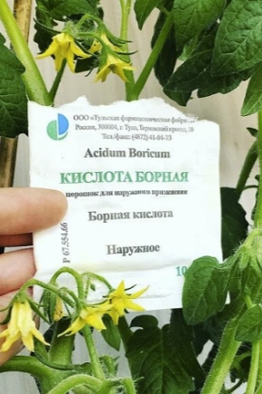 Jak używać kwasu borowego do pomidorów?
