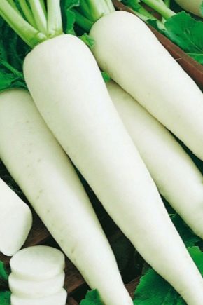 Czym jest daikon Minovashi i jak go uprawiać?