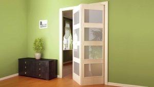 Porte pliante : comment choisir ?